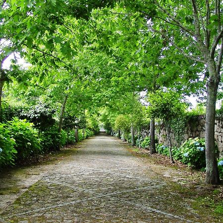 폰테 데 리마 Casa Da Lage B&B 외부 사진